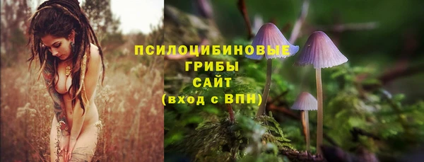 спайс Алексеевка