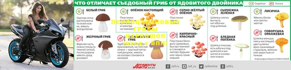 Альфа ПВП Алзамай