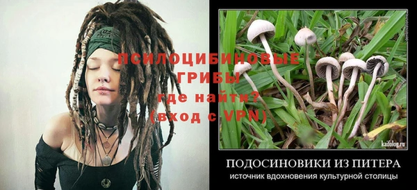 Альфа ПВП Алзамай