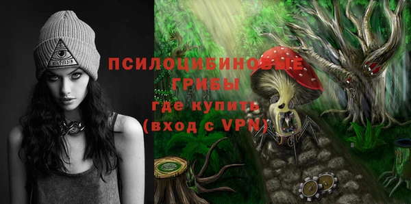Альфа ПВП Алзамай