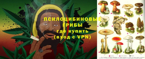 спайс Алексеевка